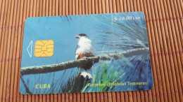 Phonecard Bird Cuba Only 40.000 Ex Made Used Rare - Cuba