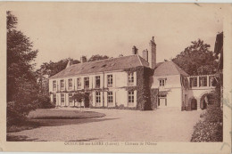 CPA-45-OUZOUER-SUR-LOIRE  -  CHATEAU DE L’ORME-Non Circulée - Ouzouer Sur Loire