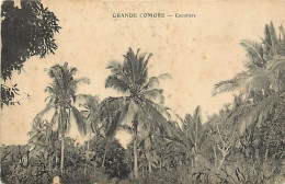 Pays Div-ref CC687- Comores - Grande Comore - Cocotiers / Etat : Petites Et Legeres Taches -carte Bon Etat General - - Comorre