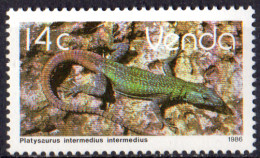 VENDA - Lézard 1986 - Venda