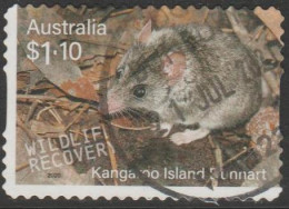AUSTRALIA - DIE-CUT-USED 2020 $1.10 Wildlife Recovery - Kangaroo Island Dunnart - Animal - Usati