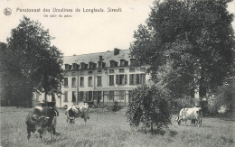 Pensionnat Des Ursulines De Longfaulx, SIRAULT - Carte Circulé Vers TOURCOING - Saint-Ghislain