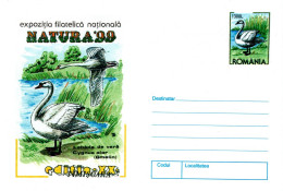 Cover  ROMANIA, Bird, Swan   /   Lettre ROUMANIE, Oiseau, Cygne - Cisnes