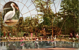 New York Zoological Park Interior Of Flying Cage - Bronx