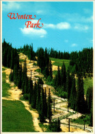 Colorado Winter Park The Alpine Slide - Rocky Mountains