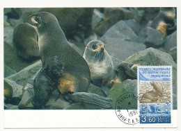 TAAF - Carte Maximum 3,60 Otarie à Fourrure - Port Aux Français Kerguelen 1/1/1991 - Storia Postale