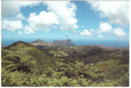 ISOLA ST HELENA CHRISTMAS 2014 CUNNING FISH CARTOLINA PER ITALIA - Saint Helena Island