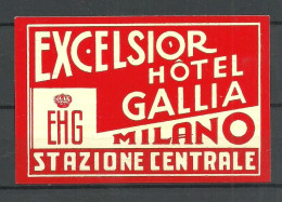 ITALY Italia Excelsior HOTEL Gallia Milano Stazione Centrale Vignette Advertising Poster Stamp Reklamemarke MNH - Hotel- & Gaststättengewerbe