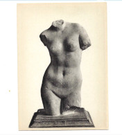 Musée De Mariemont.Torse D'Aphrodite. - Morlanwelz