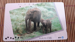 Elephant Phoecard  Rare - Giungla