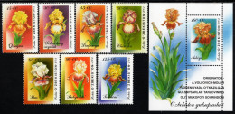 Uzbekistan - 2002 - Flora - Irises - Mint Stamp Set + Souvenir Sheet - Uzbekistan