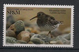 SPM - 2021 - N°Yv. 1253 - Oiseau / Bécasseau - Neuf Luxe ** / MNH / Postfrisch - Ungebraucht