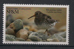 SPM - 2021 - N°Yv. 1253 - Oiseau / Bécasseau - Neuf Luxe ** / MNH / Postfrisch - Unused Stamps
