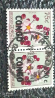 KONGO HALK CUMHURİYETİ-1960-70-    75C   USED - Used Stamps
