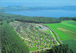 CPSM AU BORD DU LAC DE MORAT CAMPING CARAVANING LES JONCS AVENCHES - Avenches