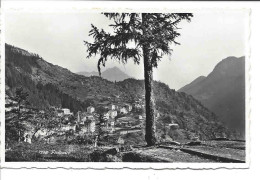 Delcampe - Finhaut Vue Générale Depuis Un Arbre Mélèze, Cachet Finhaut Valais 1958 - Finhaut