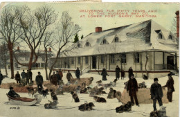 Canada, FORT GARRY, Manitoba, Delivering Fur To Hudson's Bay Co. (1927) Postcard - Andere & Zonder Classificatie