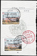 Turkey - Old Travel Document Fee & Revenue Stamp On Passport Page Label / Vignette / Fiscal - USED - Lettres & Documents