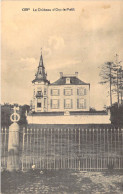 Belgique - Orp - La Château D'orp Le Petit - Edit. Impr. Arth. Michotte Pirson - Carte Postale Ancienne - Orp-Jauche