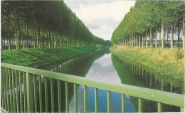 DAMME - Le Canal - N'a Pas Circulé - Damme