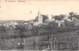 Belgique - Lierneux - Panorama - Edit. E. Desaix - Clocher - Eglise - Carte Postale Ancienne - Verviers