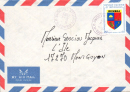 NOUVELLE CALEDONIE SEUL SUR LETTRE AVION POUR LA FRANCE 1989 - Storia Postale