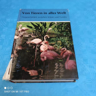 Von Tieren In Aller Welt - Animales