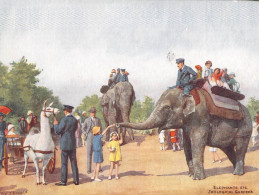 Animaux - Elephants  Etc. Zoological Gardens - Illustrateur C.T. Howard - Edit. J. Salmon - Carte Postale Ancienne - Éléphants