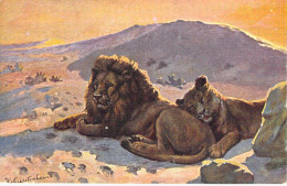 Animaux - Lions - Edit. W. De Haan - Illustrateur Gerotenhauer - Carte Postale Ancienne - Leoni