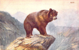 Animaux - Ours - Bear - Edit. J. Salmon - Carte Postale Ancienne - Osos