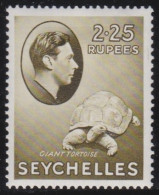 Seychelles      .    SG    .    148  (2 Scans)       .   *        .       Mint-hinged - Seychellen (...-1976)