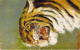 Animaux - Tigre - Illustrateur - Peluba  - Carte Postale Ancienne - Tijgers