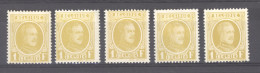 BE 0454  -  Belgique  :  COB 205  *    5 Teintes - 1922-1927 Houyoux