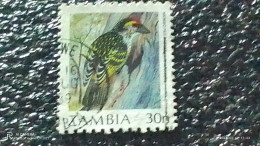 ZAMBİYA-  1987     30N  BİRDS   USED - Used Stamps