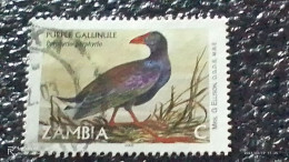 ZAMBİYA-  2001 -    -C-  BİRDS   USED - Used Stamps