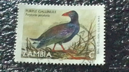 ZAMBİYA-  2001 -    -C-  BİRDS   USED - Used Stamps