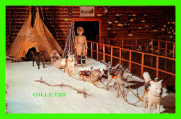 BANFF, ALBERTA - LUXTON MUSEUM - WOODLAND CREE DOG TEAM AND CARRIOLE, OPERATED BY GLENBOW FOUNDATION - - Banff