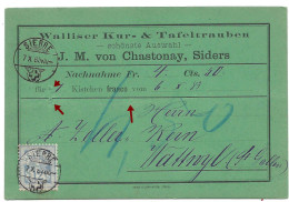 SIERRE 1883, Type Chiffre 12 C., Remboursement Carte Pub Walliser Kur - & Tafeltrauben Chastonay, Siders. Valais, Wallis - Covers & Documents