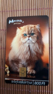 Cat Phonecard Used  Rare - Katzen