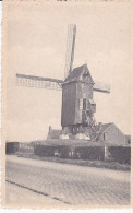 DE OUDE MOLEN - Wevelgem