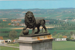 LE LION POIDS 28.000KG - Waterloo