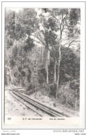 BRAZIL - BRESIL - RIO DE JANEIRO - E.F. DO CORCOVADO (Ribeiro) Railway Line Tracks No Train ! - Rio De Janeiro