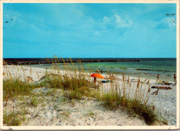 Florida Panama City Beach White Sandy Beach - Panama City