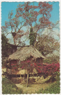 'East Indian Tapia Hut' - Trinidad W.I. - Trinidad