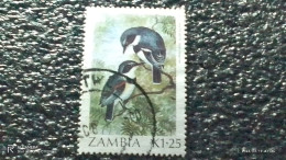 ZAMBİYA--1980-90-----   1.25K - BİRDS        USED- - Used Stamps