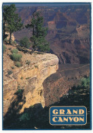 CPSM 10.5 X 15 USA Etats Unis (27) Arizona Grand Canyon National Park  Yavapai Point - Grand Canyon