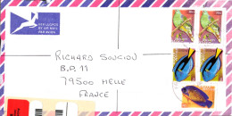 AFRIQUE DU SUD SEUL SUR LETTRE RECOMMANDEE POUR LA FRANCE 2005 - Lettres & Documents