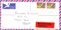 AFRIQUE DU SUD SEUL SUR LETTRE RECOMMANDEE POUR LA FRANCE 2005 - Covers & Documents