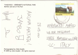 TANZANIA MIKUMI NATIONAL PARK CARTOLINA PER ITALIA ELEFANTI - Tanzania (1964-...)