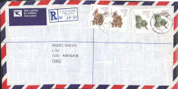 AFRIQUE DU SUD SEUL SUR LETTRE RECOMMANDEE POUR LA FRANCE 1991 - Cartas & Documentos